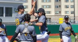 Baseball athletes high fiving each other