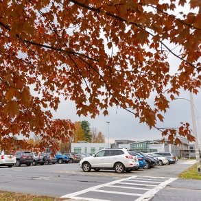 Fall foliage frames a campus scene outside Adirondack Hall