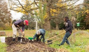 Image for news article New SUNY Adirondack degree pairs business and agriculture